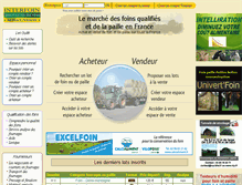 Tablet Screenshot of interfoin.fr